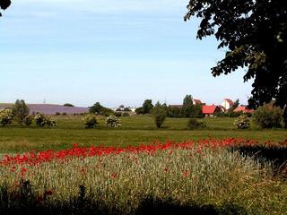 2005-06-27 17:53:28
