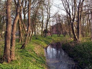 2006-05-01 19:44:40