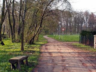 2006-05-01 19:52:24